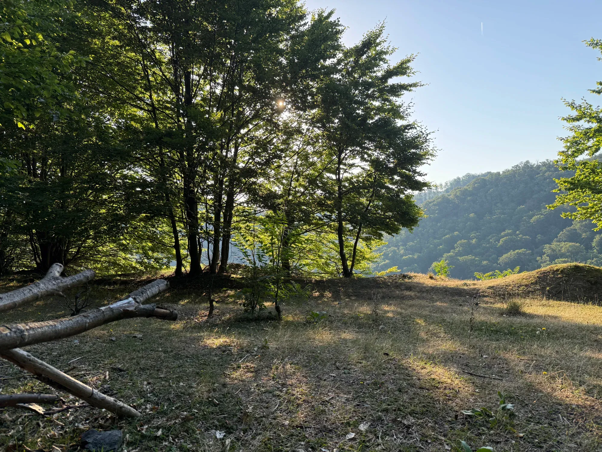 Čistinka nad starým kameňolomom